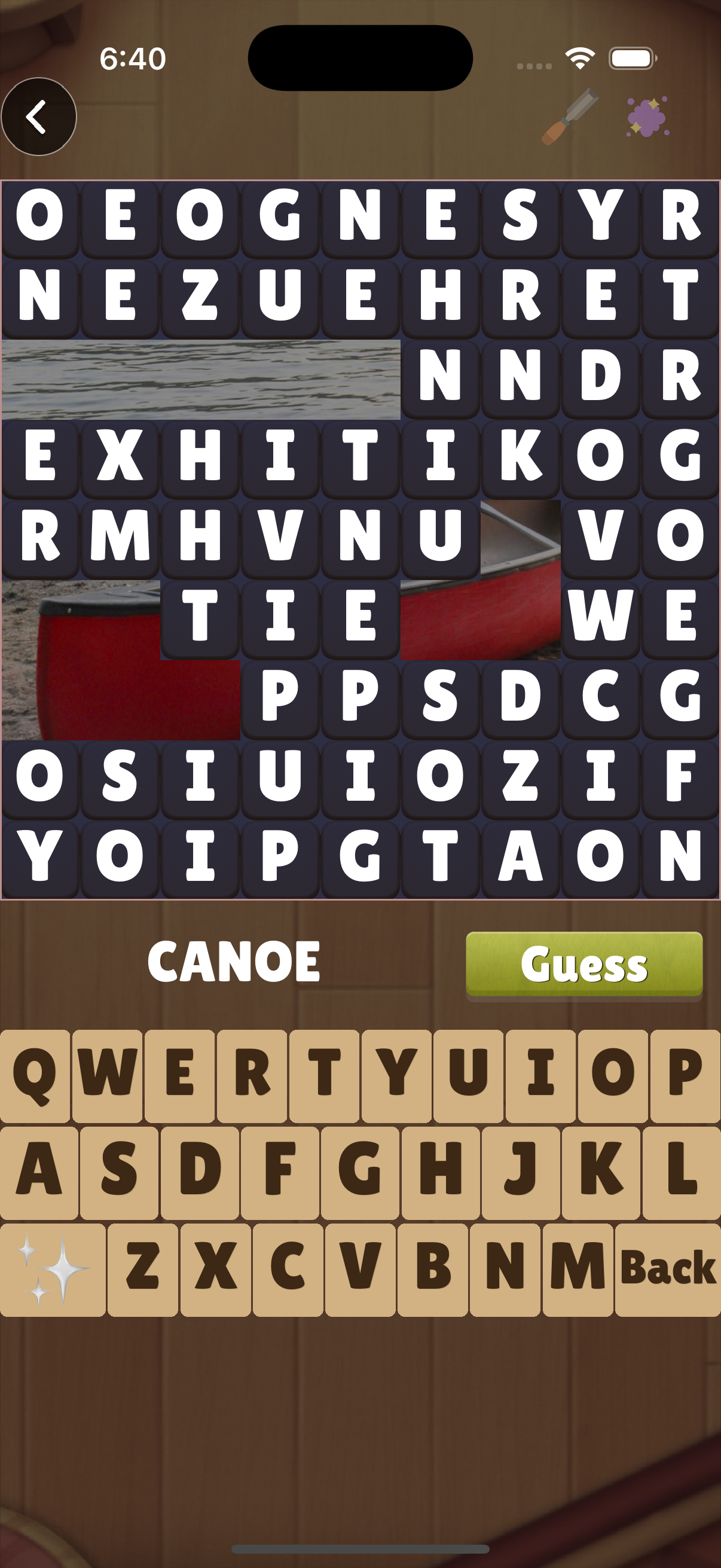 Wordpix guess screen with calm wood textures